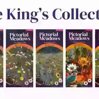 The King's Collection